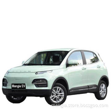 Rechargeable high-speed driving Chinese electric vehicle with roof rack SUVDayun Yuehu EV New vehicle for sale 2023